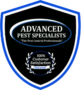 Shield logo for pest control specialists.