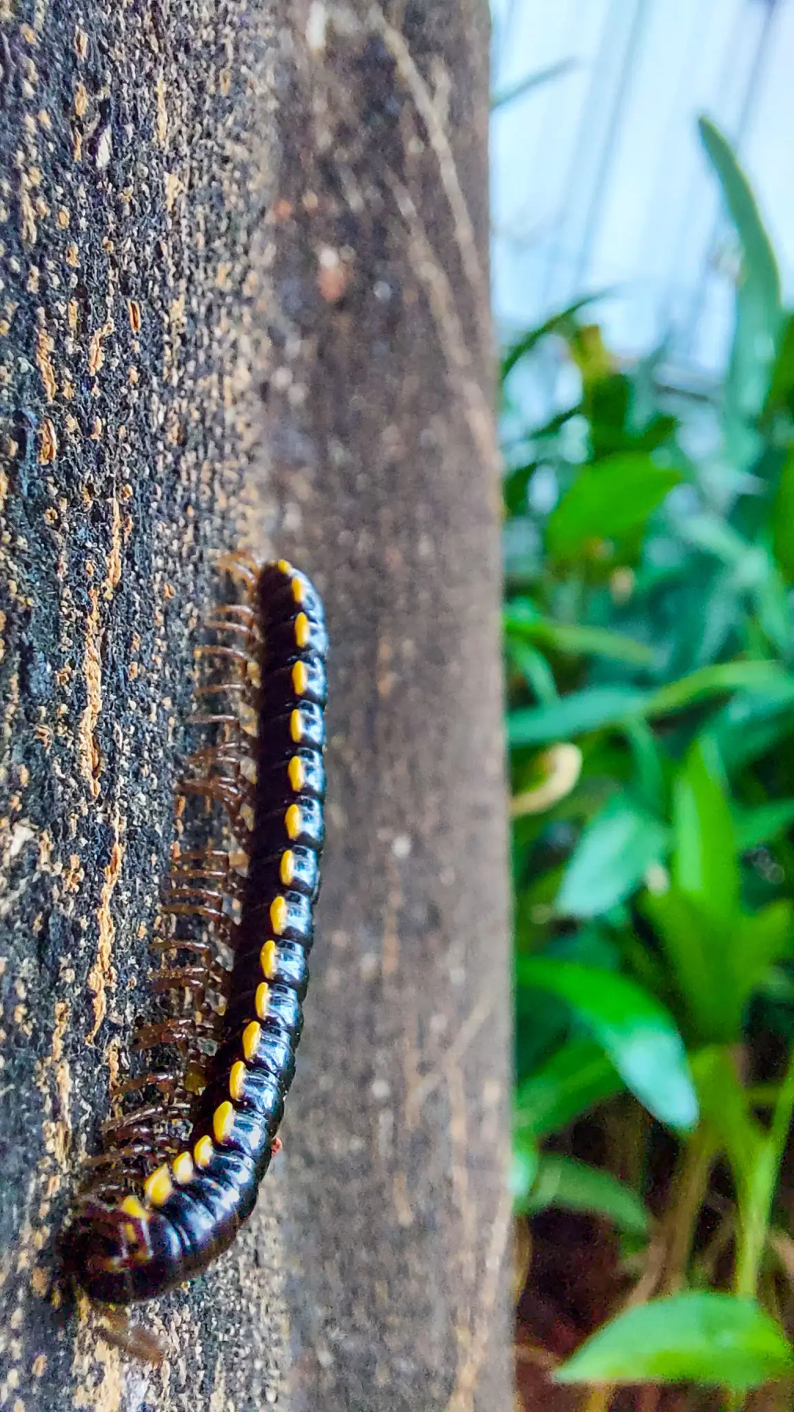 ffd9e09b-86b1-41b5-98d9-7927d393c654